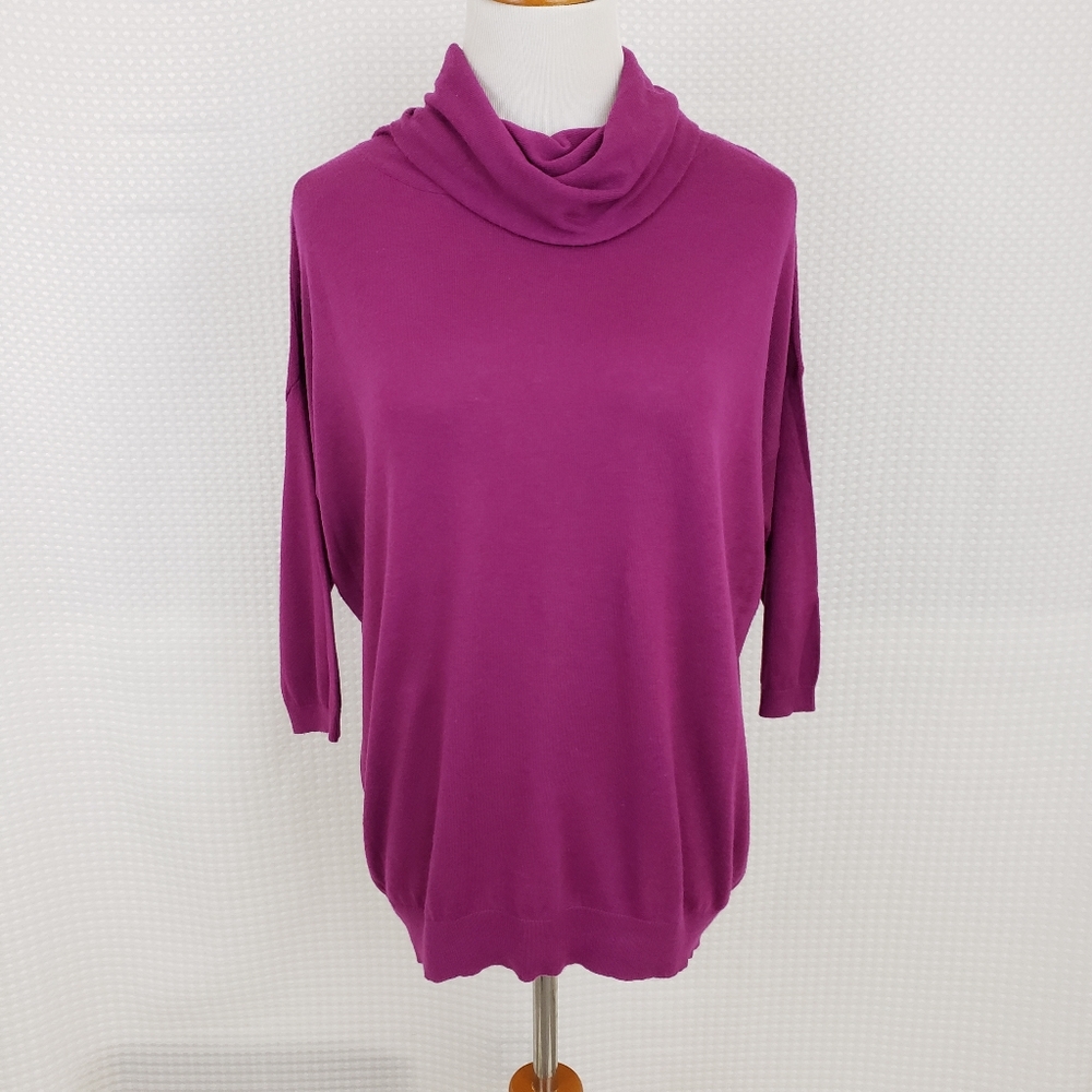 Ann Taylor Sweater Cowl Neck Sweater Cashmere Pink Purple size Small Petite
